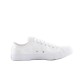 CONVERSE CHUCK TAYLOR ALL STAR SEASONAL