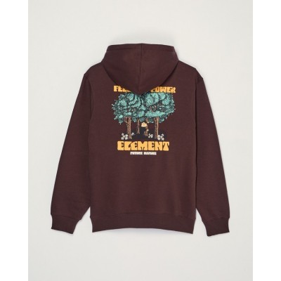 ELEMENT FEEL THE POWER PO HOODIE