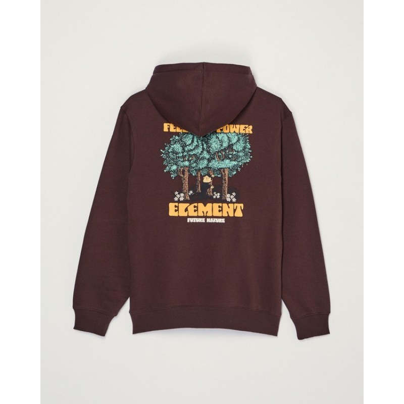 ELEMENT FEEL THE POWER PO HOODIE