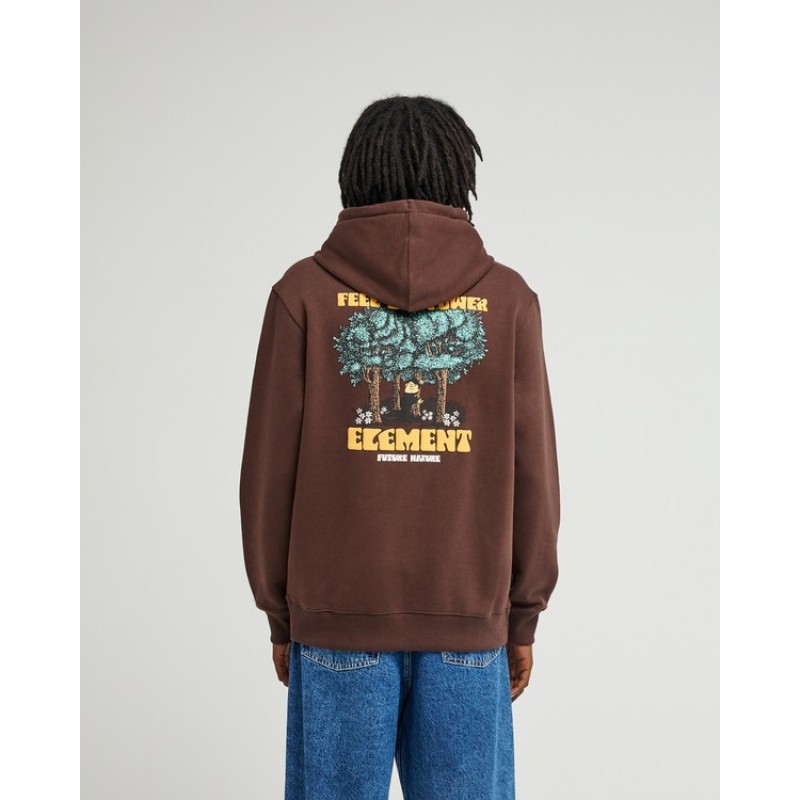 ELEMENT FEEL THE POWER PO HOODIE
