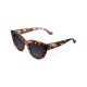 KAROO TIGRIS CARBON