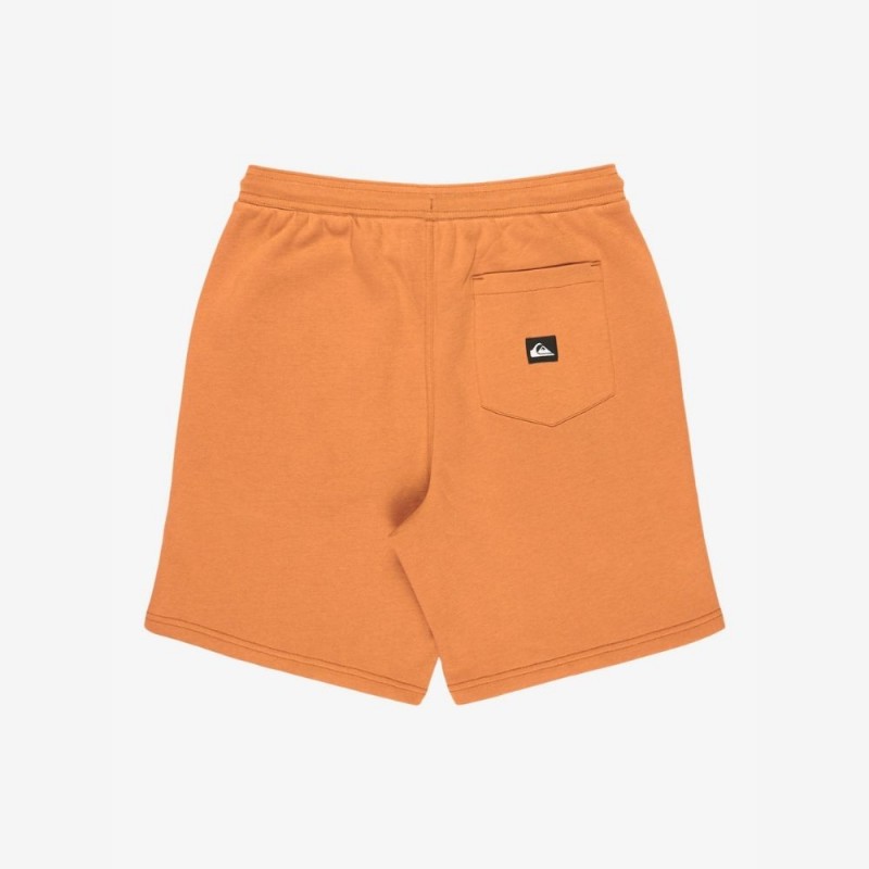 QUICKSILVER SALT WATER FLEECE SHORT ΣΟΡΤΣ ΑΝΔΡΙΚΟ