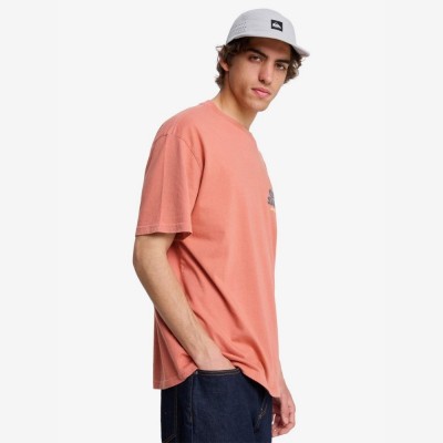 QUICKSILVER FRUITS TIDE SS ΜΠΛΟΥΖΑ ΑΝΔΡΙΚΟ QUICKSILVER FRUITS TIDE SS ΜΠΛΟΥΖΑ ΑΝΔΡΙΚΟ